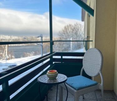 Greifenstein Maison | Brauner Bär mit tollen Ausblick