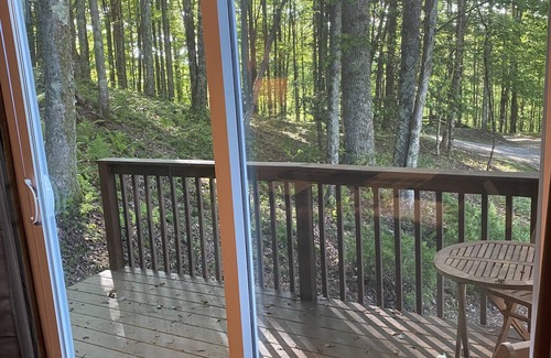 French Creek Cabine | Breathtaking Mountain View in Wild and Wonderful WV! Hot tub! Breathtaking views