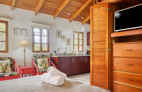 Ojochal Appartement | Breezy tropical casita with grill, lanai, AC, & WiFi - seasonal stays welcome