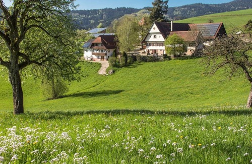 Oberharmersbach Maison | Breigenhof - Ferienhaus Weideblick EG - endroit ensoleillé