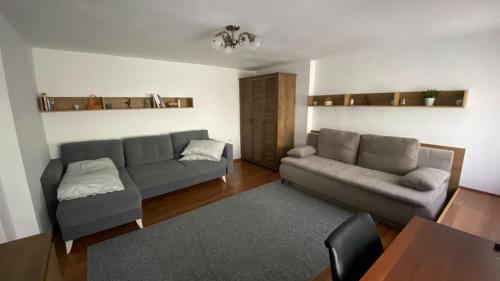 Bistrita Appartement | Bretsara
