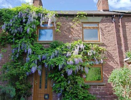 Mitcheldean Maison | Bridge Cottage Hot tub Enclosed garden Tranquility