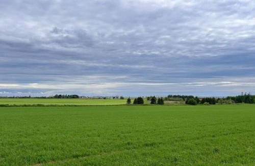 Borden-Carleton Appartement | Bridge View near Conferation Bridge and beaches