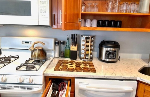 Bridgeport Appartement | Bridgeport Place -free parking, McCormick-Sox Park