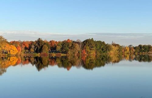 Wakefield Appartement | Bright 2 Br, Pets Welcome, Steps to Lake, Restaurants and Train