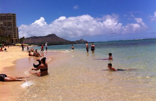 McCully - Moiliili Appartement | Bright Amazing View Walk Everywhere