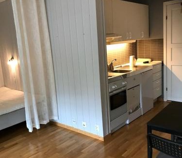 Trondheim Appartement | Bright and nice apartment