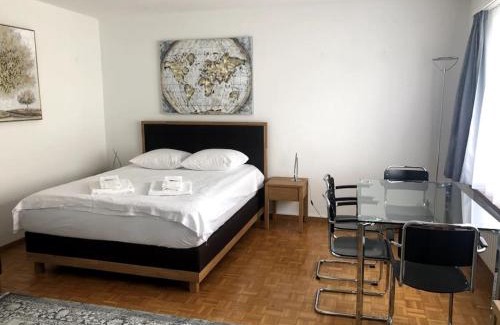 Hirslanden Appartement | Bright and quiet studio in the city center - Sky1