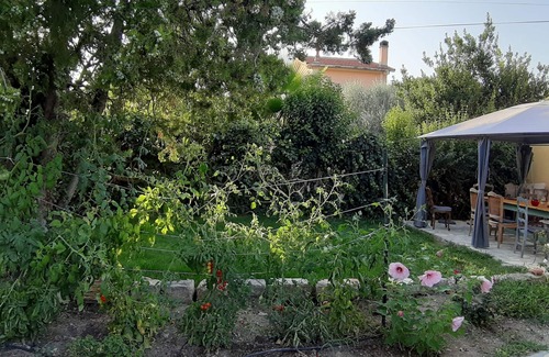 Trans-en-Provence Appartement | Appartement lumineux en Provence