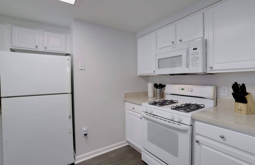 Ballston Appartement | Quiet Apt in the Heart of Ballston
