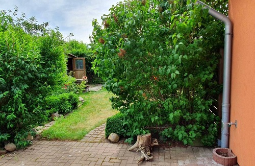 Rambin Appartement | Bright, cozy vacation apartment in Rambin in the mild west of Rügen