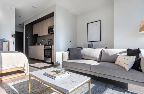 South Loop Appartement | Bright South Loop Studio w/ Pool, Gym, walk to Grant Park, by Blueground (ID #CHI347)