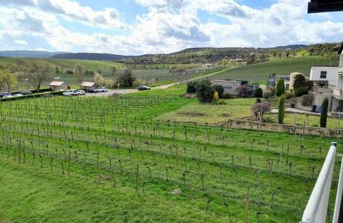 Kallstadt Copropriété | Bright vacation apartment *** (DTV classification), balcony w. View of the vineyards