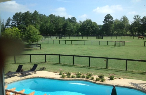 Aiken Maison | Apportez vos chevaux! PISCINE DE SEL! Ferme privée vierge.