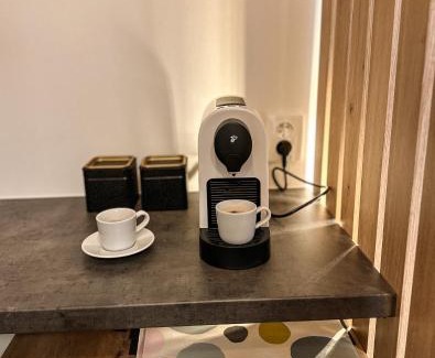 Brno-stred Appartement | Brno - Mendel square apartment
