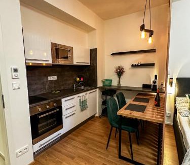 Brno-stred Appartement | Brno - Mendel square apartment