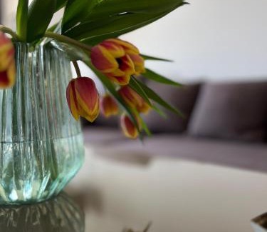 Immenrode Appartement | Brockenblick