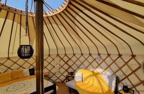 Llandovery Autre | Bronfelen Yurt