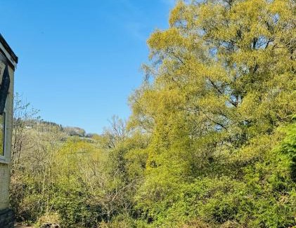 Llanvair Discoed Maison | Bryn Gwyn Lodge