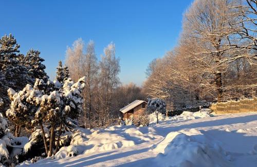 Bochnia Maison | Brzozowy Zakątek