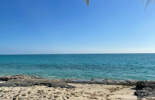 Morris Settlement Maison | The Palm Tree Hideaway!