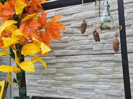 Hunedoara Maison | BTP House
