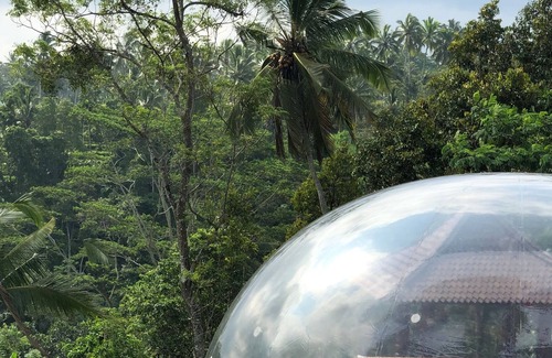Tampaksiring Maison | Bubble Hotel Bali Ubud - Jungle Pool Bubble