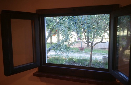 Castel Colonna Appartement | BUBO - Among the plants just a stone's throw from the pool