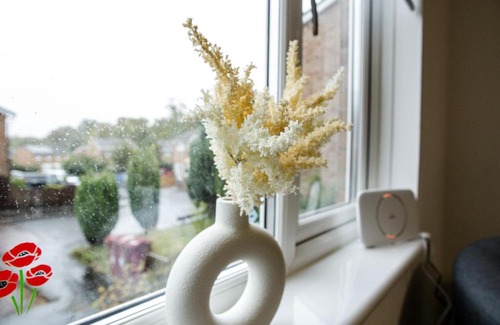 Hamilton Maison | Buckingham House