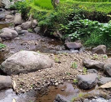 Pupuan Autre | Bucu Riverside