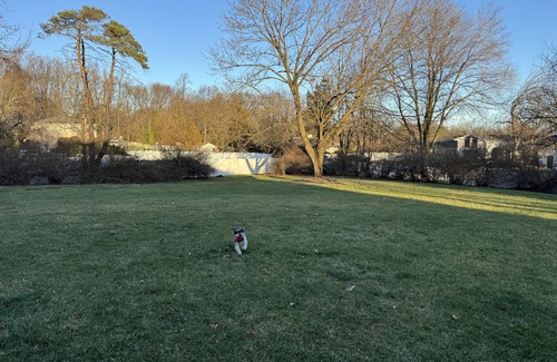 Scotch Plains Maison | Buddha’s Home Stay -A Tranquil Oasis Awaits!