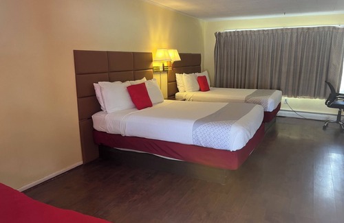 Delhi Hôtel | BUENA VISTA INN