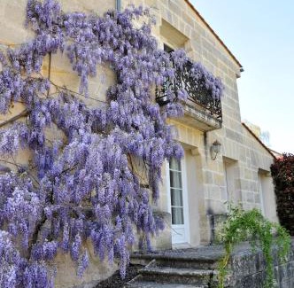 Laruscade Lit Et Petit-Déjeuner | Buisson gîte et chambre d'hôte