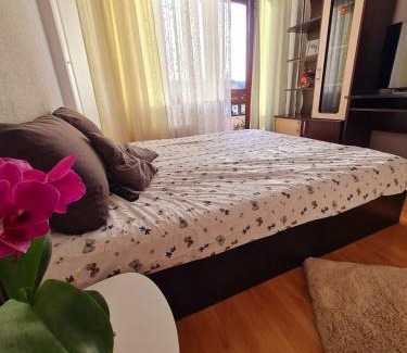 Curtea De Arges Appartement | Bulevard View Studio