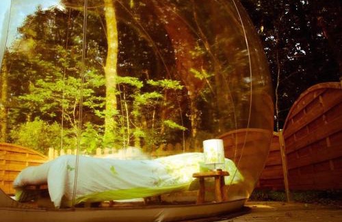 Dournazac Autre | Bulle d'R