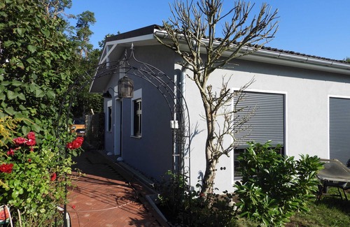 Seeheilbad Graal-Muritz Maison | Bungalow avec jardin - Bungalow