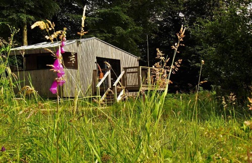 Noues de Sienne Hôtel | BUNGALOW TERRASSE 4/5 pers - Etape en Foret