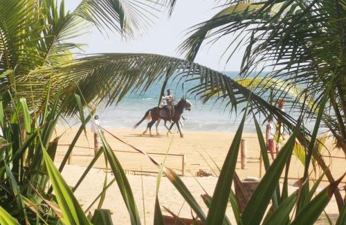 Grand-Bassam Cabine | Bungalow accés direct plage privée "Plage tropicale Chez Jack et Régine"