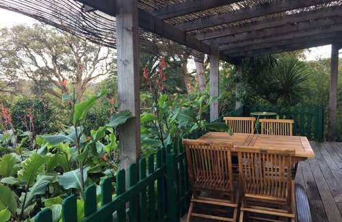 San-Nicolao Maison | Bungalow au milieu des clémentiniers face à la mer