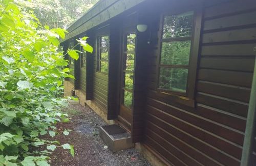 Bad Arolsen Maison | Bungalow; Haus 111 Ferienpark Twistesee, Bad Arolsen