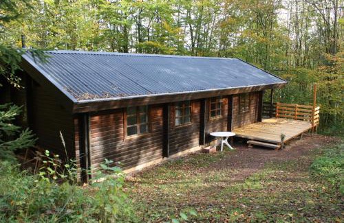 Bad Arolsen Maison | Bungalow; Haus 111 Ferienpark Twistesee, Bad Arolsen