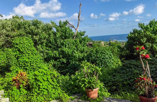 Mazunte Maison | Bungalow en Mazunte Pueblo mágico, a 10 minutos de la playa