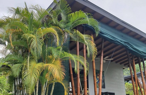 Ballena Maison | Bungalow with kitchen and infinity pool with ocean view, small BnB