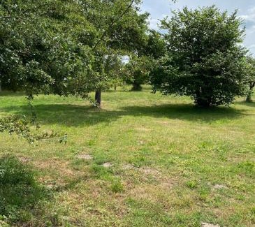 Blengow Maison | Bungalow zwischen Ostsee und Haff