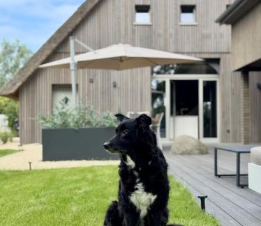 Oberndorf Maison | BunnyHuus Scheunen-Loft