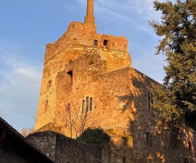 Wetzlar Lit Et Petit-Déjeuner | Burg Hermannstein - Rittersaal