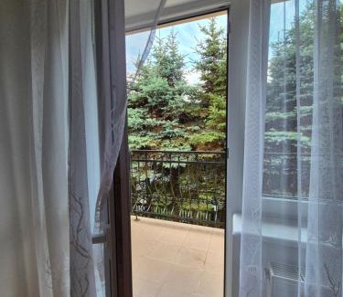Gaski Maison | Bursztynowy Brzeg