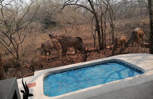 Marloth Park Appartement | Bushbuck Rest