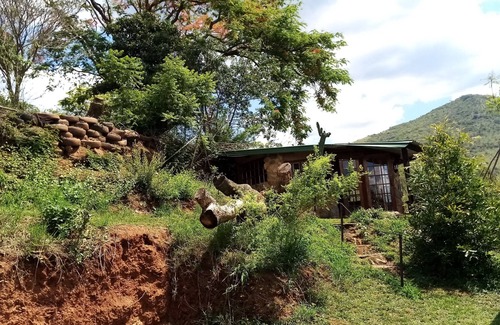 Umjindi Maison | Bushwhacked Barberton