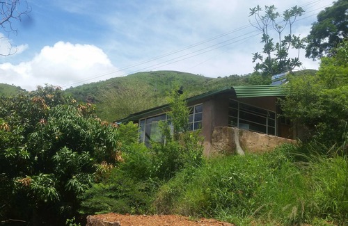 Umjindi Maison | Bushwhacked Barberton